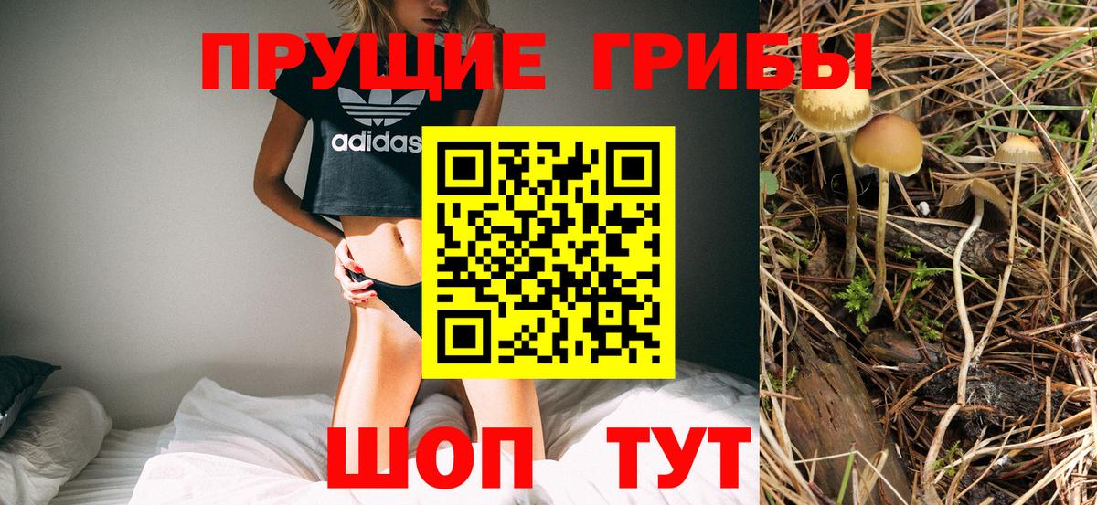как найти закладки  Псилоцибиновые грибы мицелий  Вход с VPN  Саранск 