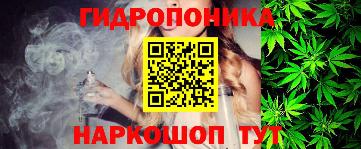 Бошки Шишки марихуана Саранск